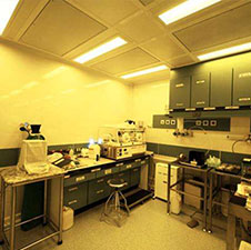 汉孕宝感恩回馈现场